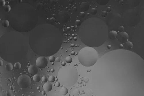 Innate Immunity: The Body’s Security Force