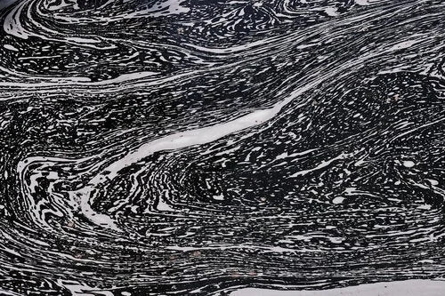 Nicotinamide Riboside May Offer Unique Protection Against Endothelial Inflammation