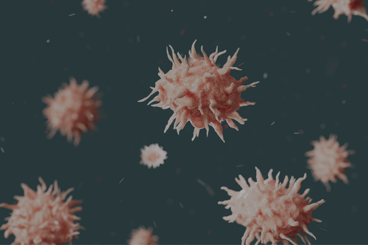 NAD+ and Cancer: Current Research on Supplementation Safety and Risk