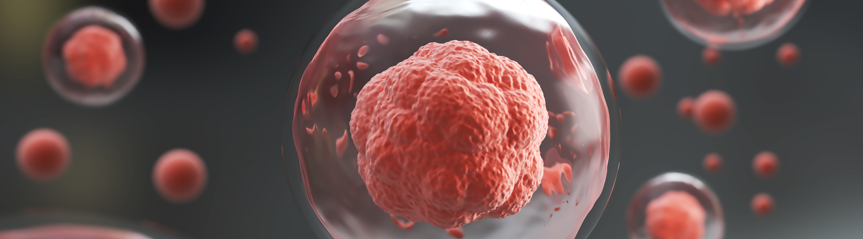Illustration of cells representing inflammation (inflammaging) and its connection to aging and NAD+.