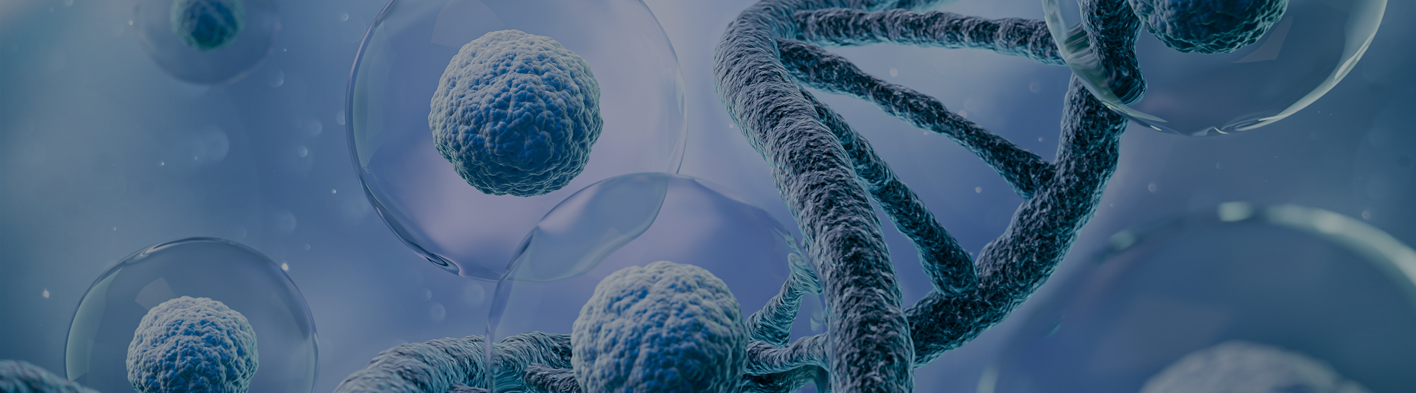 Illustration of DNA double helix and human cells representing NAD+ and DNA repair in orphan disease.