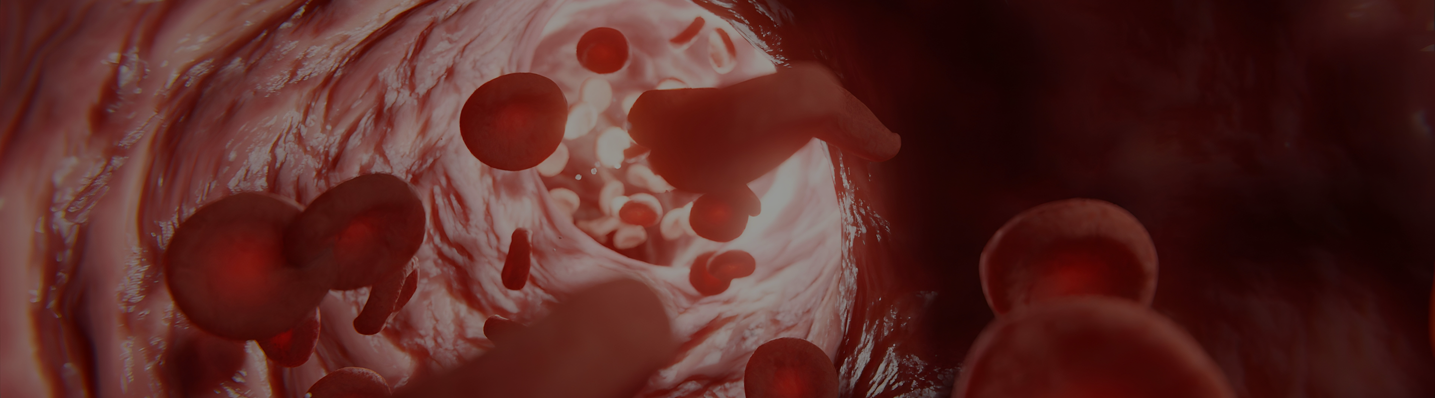 Peripheral Artery Disease and NAD+: Mitochondrial Health, Vascular Aging, and Emerging Clinical Evidence