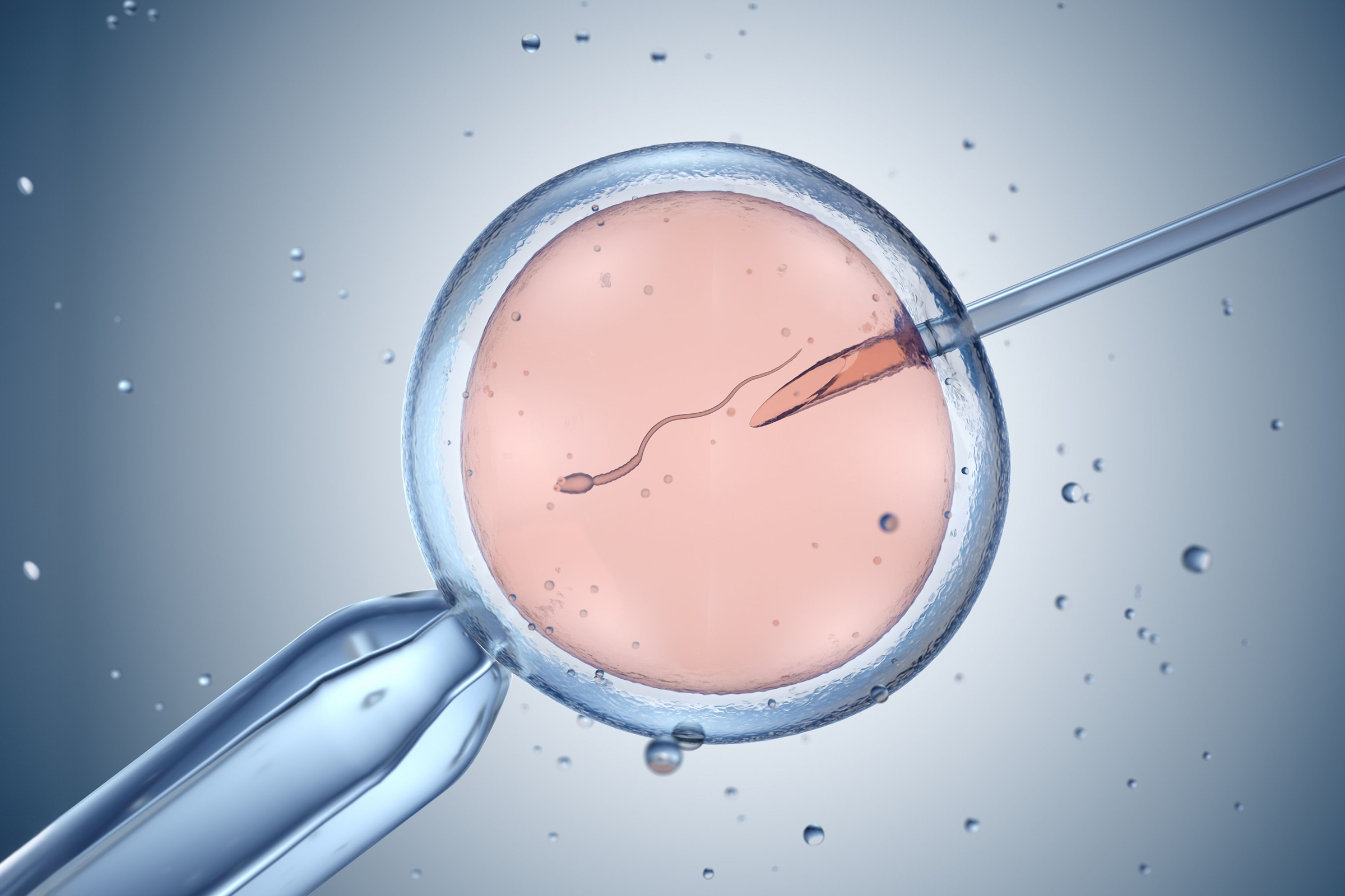 Can Increasing NAD+ Support Reproductive Health and Fertility?