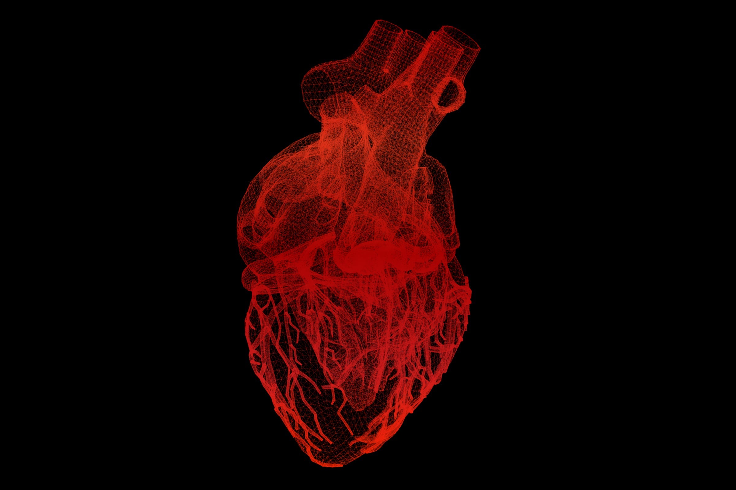 Holographic image of the human heart showcasing the role of NAD+ in heart health.