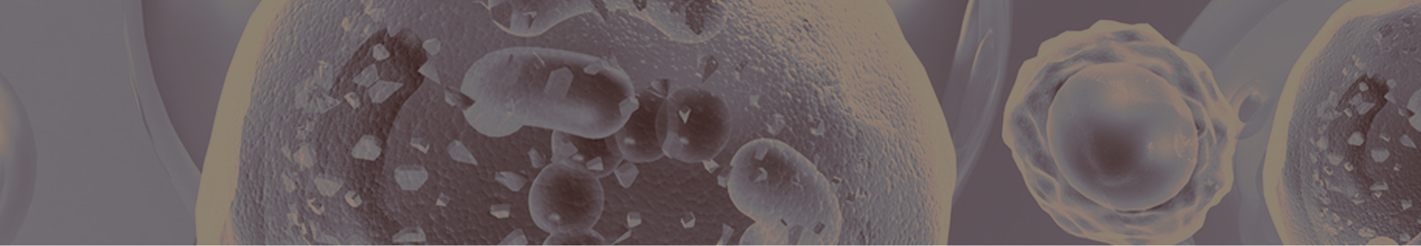 Microscopic view of cells and mitochondria featured on the glossary page for NAD+ terms.