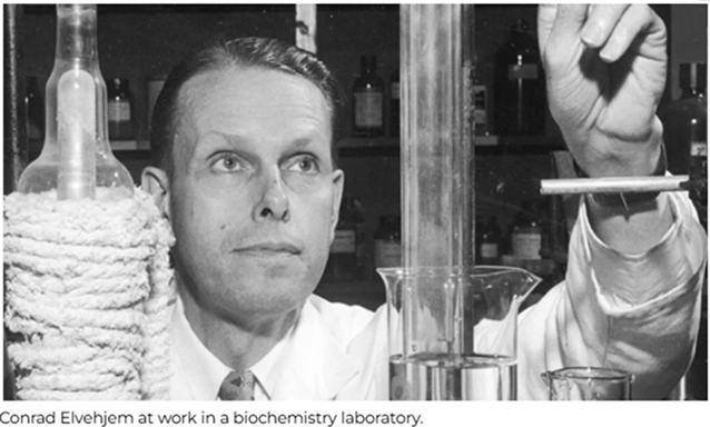 Conrad Elvehjem at work in a biochemistry laboratory, discovering niacin as the first vitamin precursor of NAD+ in 1938.
