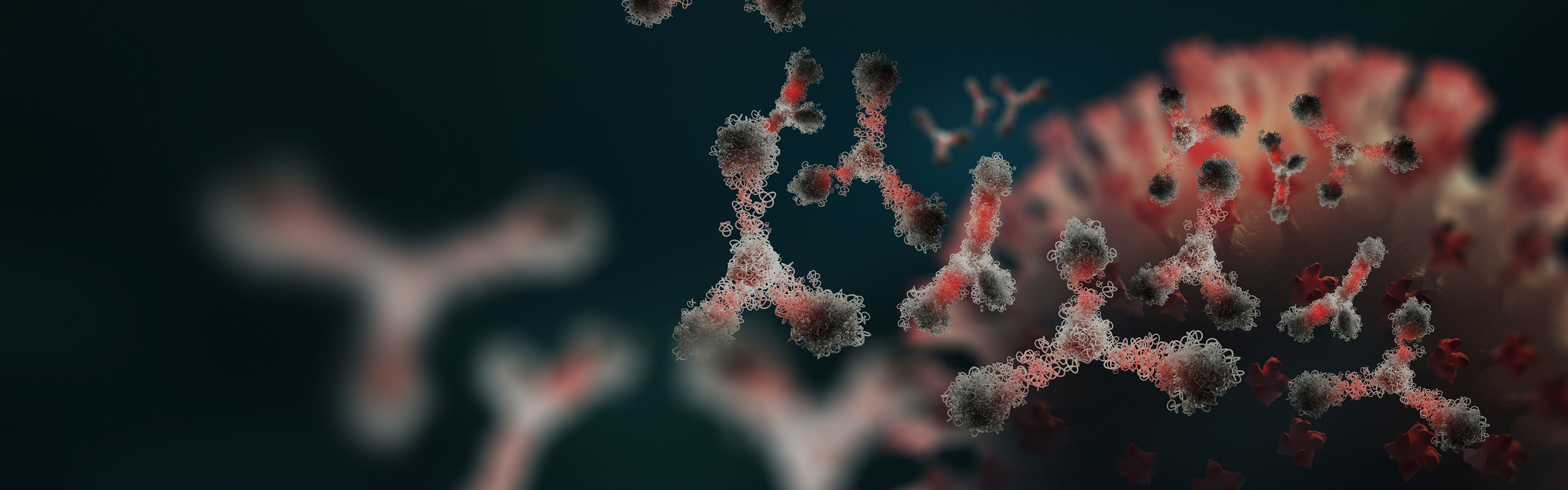 Illustration of antibodies representing autoimmune disease and NAD+ metabolism.