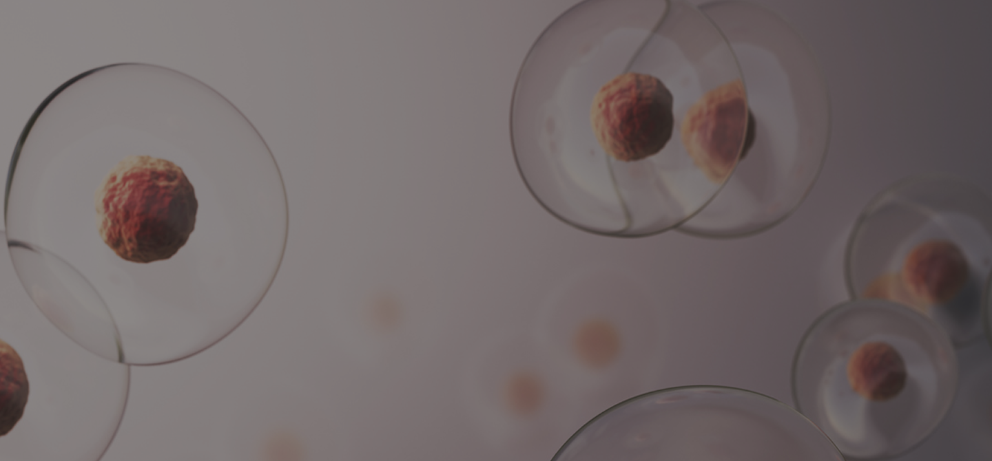 3D visualization of transparent cells with red nuclei representing NAD+ activity and cellular energy.