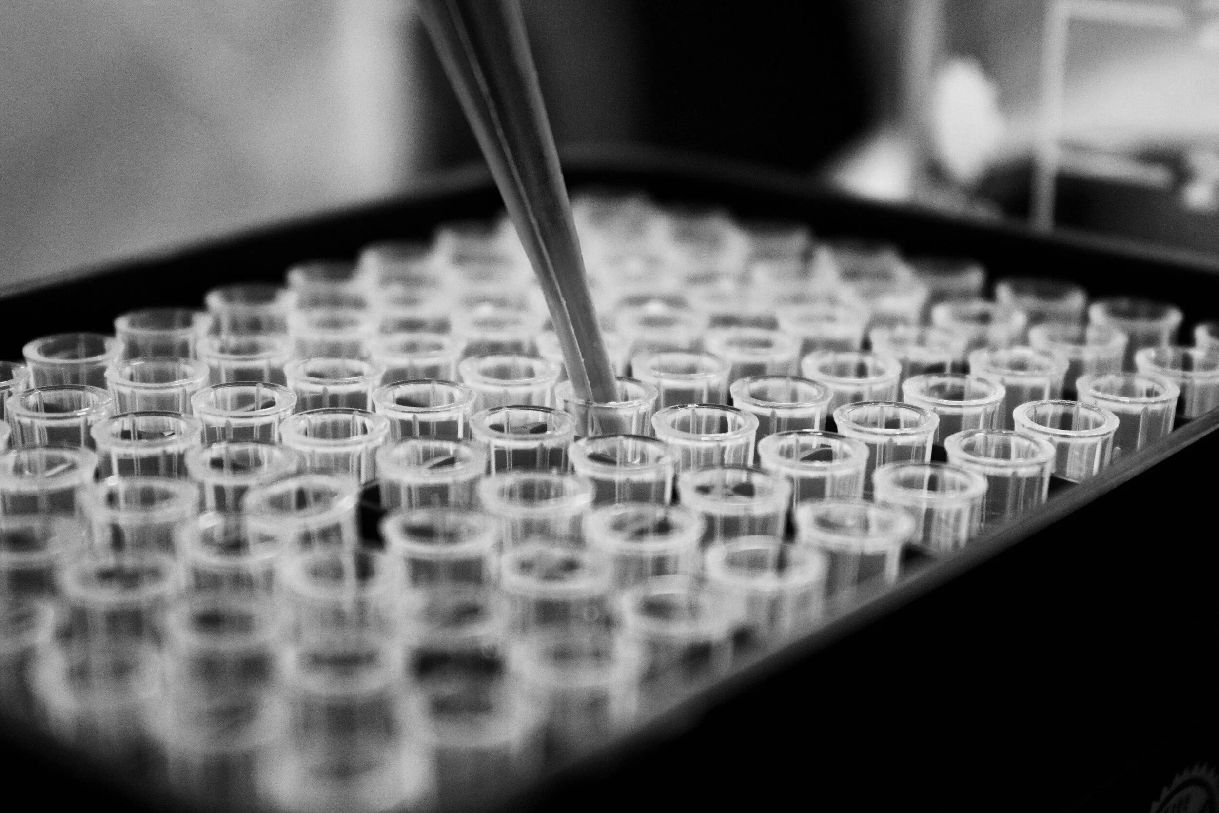 Nicotinamide Riboside Reduces Brain Inflammation and Cellular Aging in Alzheimer’s Disease: Preclinical Findings