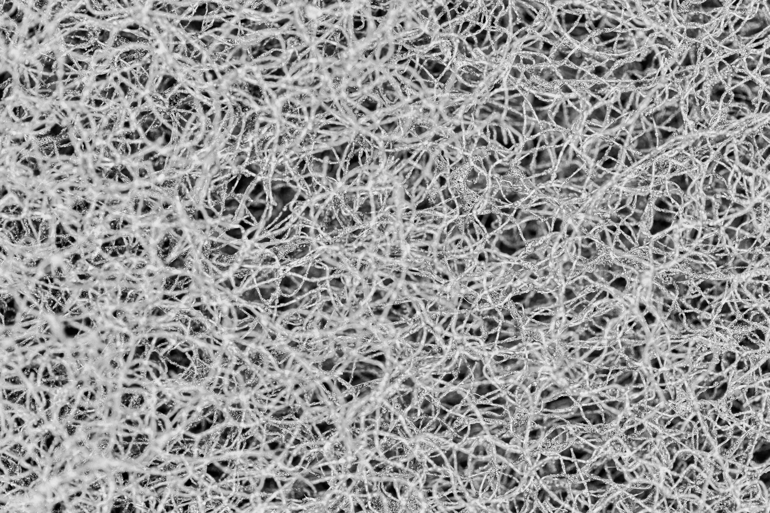 Nicotinamide Riboside Helps Protect Nerve Fibers During Chemotherapy and Enhances Paclitaxel’s Tumor-suppressing Effects in Animal Models