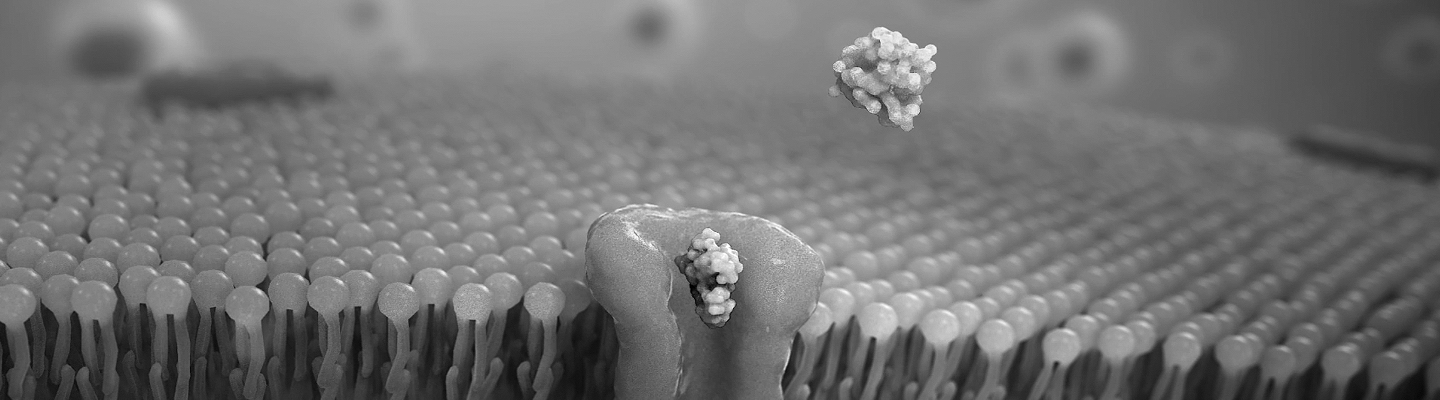 Cell Membrane