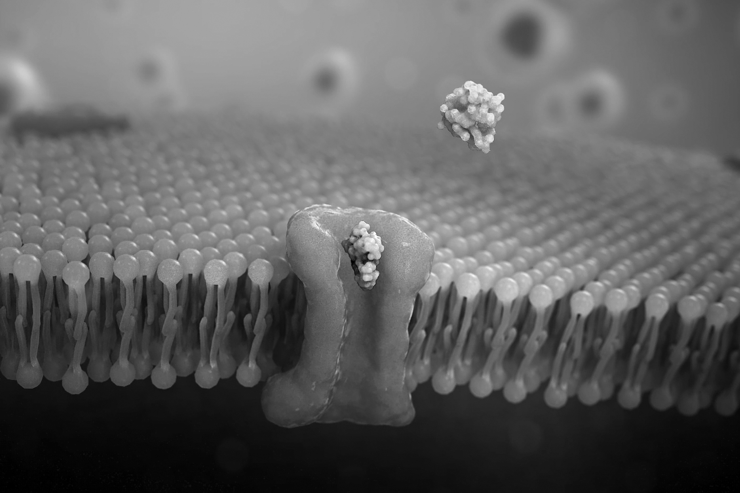 Why You Can't Take NAD+ Directly—and the Best Precursor to Boost NAD+ Effectively