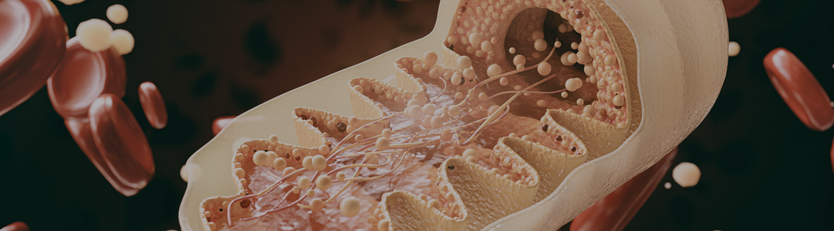 Nicotinamide Riboside and Mitochondrial DNA Disease: Early Findings From a Human Study