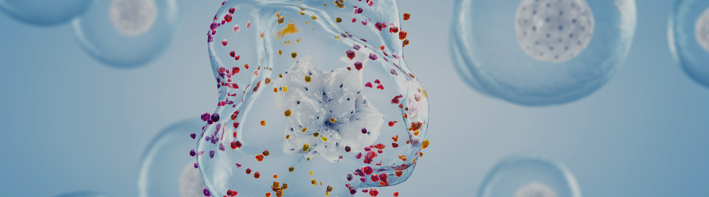 What Is Oxidative Stress? Causes, Biomarkers, and the NAD+ Connection