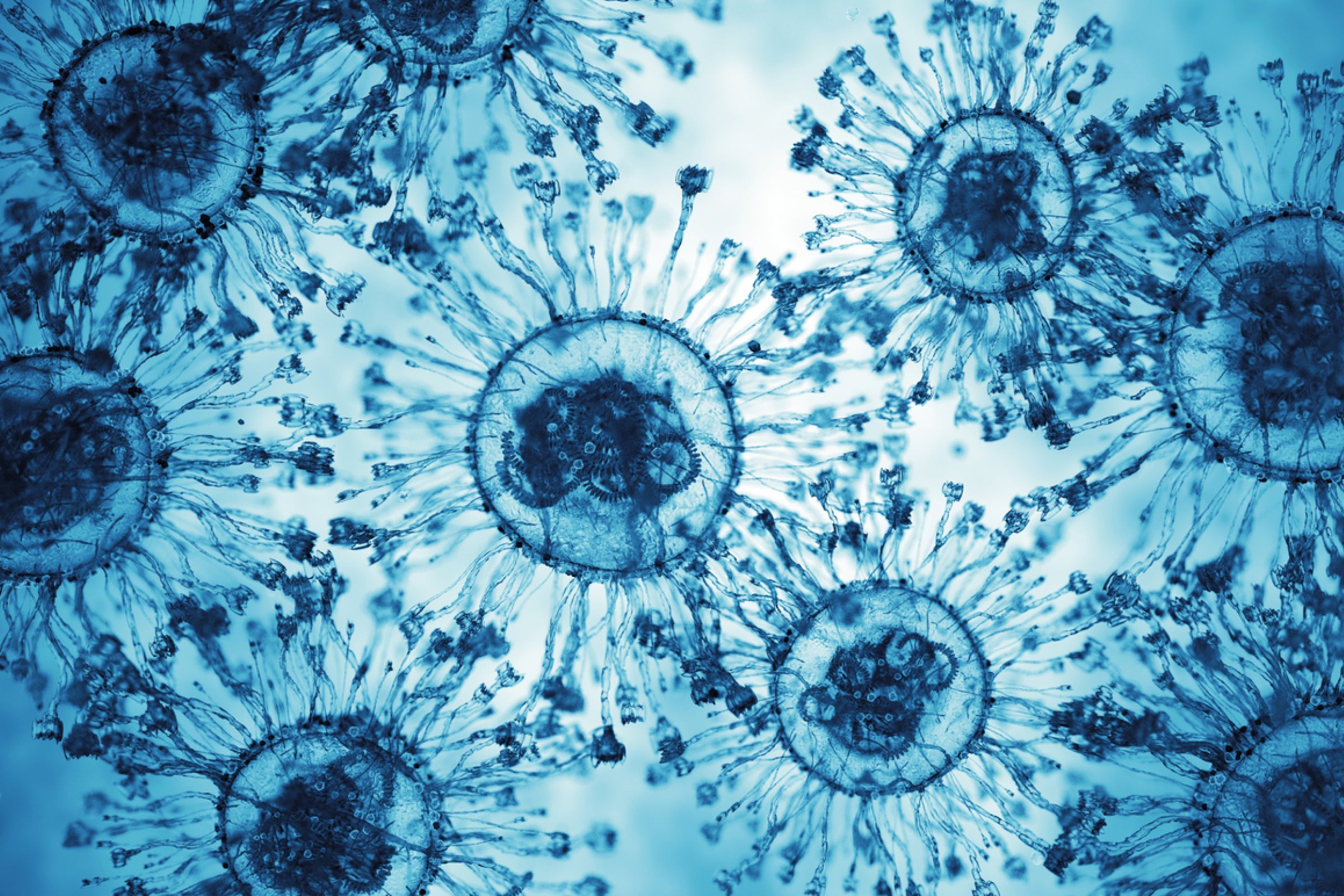 Microscopic image of cells representing Phase 3 clinical trial of combined metabolic activators (CMAs) in COVID-19 recovery research.