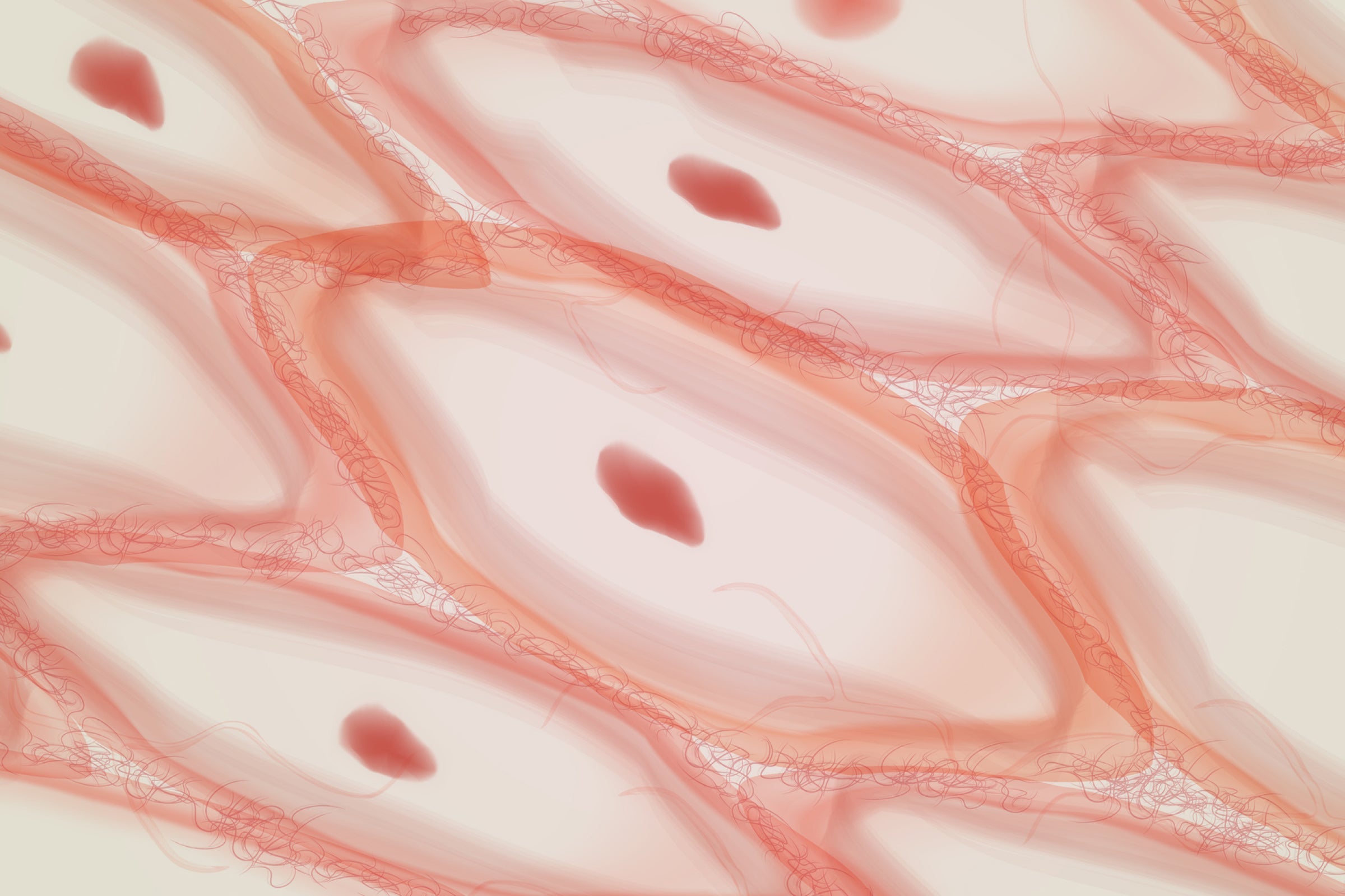 Microscopic view of nerve cells illustrating nicotinamide riboside (NR) research on chemotherapy-induced peripheral neuropathy.