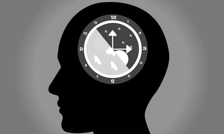 Nicotinamide Riboside Reverses Age-Related Circadian and Mitochondrial Decline: Preclinical Findings