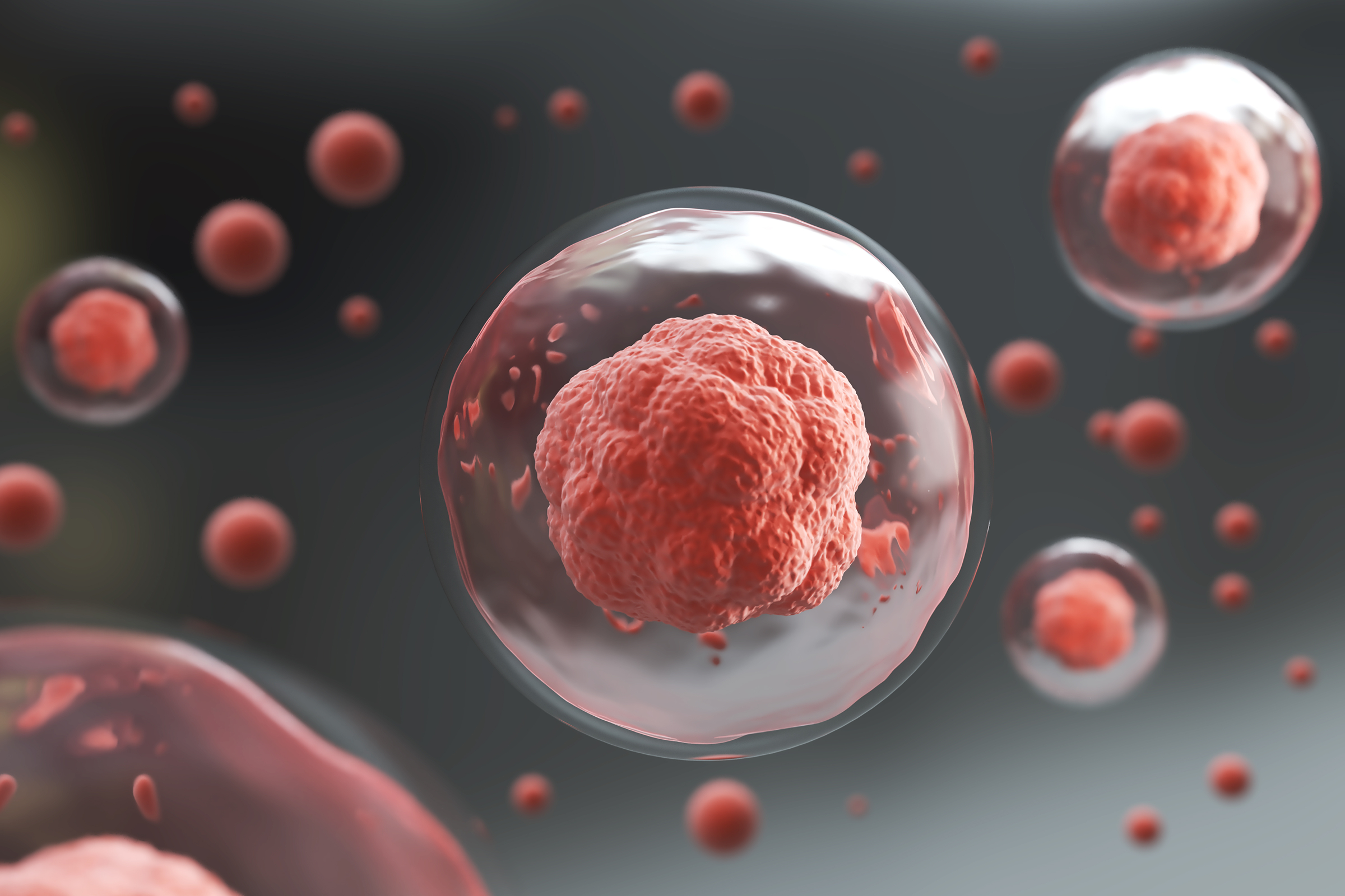 What Is Inflammaging? The Role of NAD+ in Chronic Inflammation and Aging