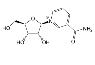 ipamorelin routes of administration What are the different routes of drug administration? ipamorelin routes of administration What are the different routes of drug administration?