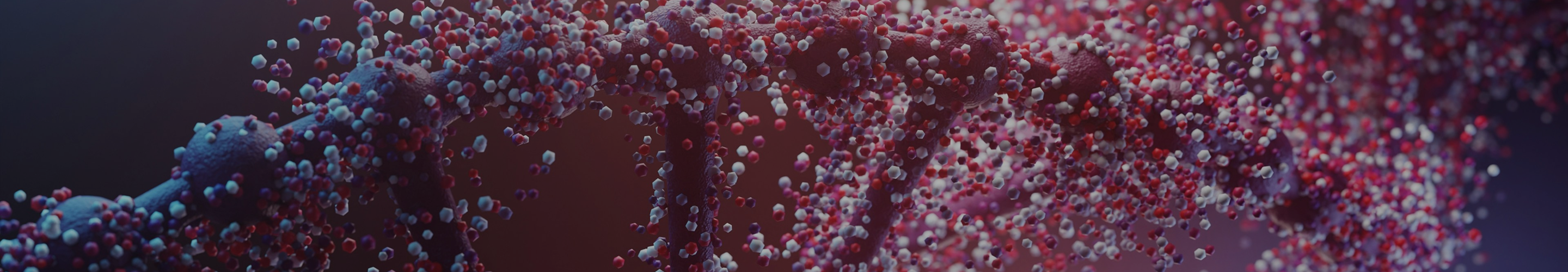 DNA double helix showing the relationship between methylation, NAD+, and NR