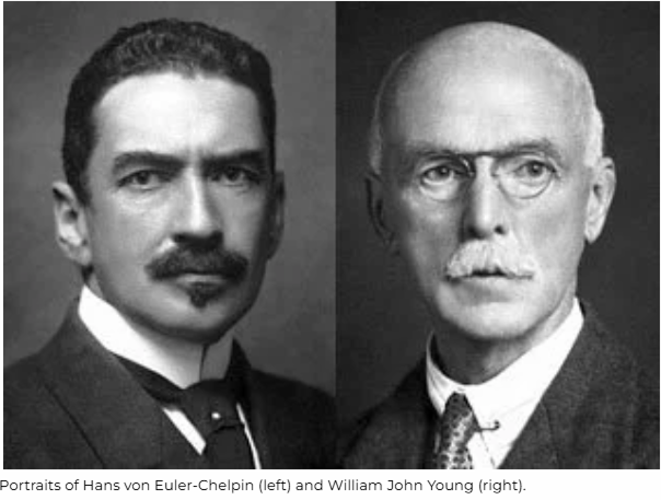 Portraits of Hans von Euler-Chelpin and William John Young, who purified NAD+ and advanced fermentation research in 1929.