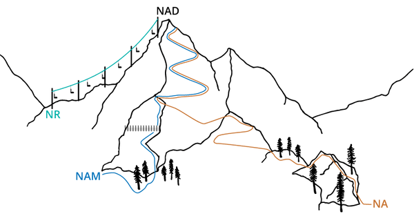 What Are NAD+ Precursors? How the Body Makes NAD+ | AboutNAD