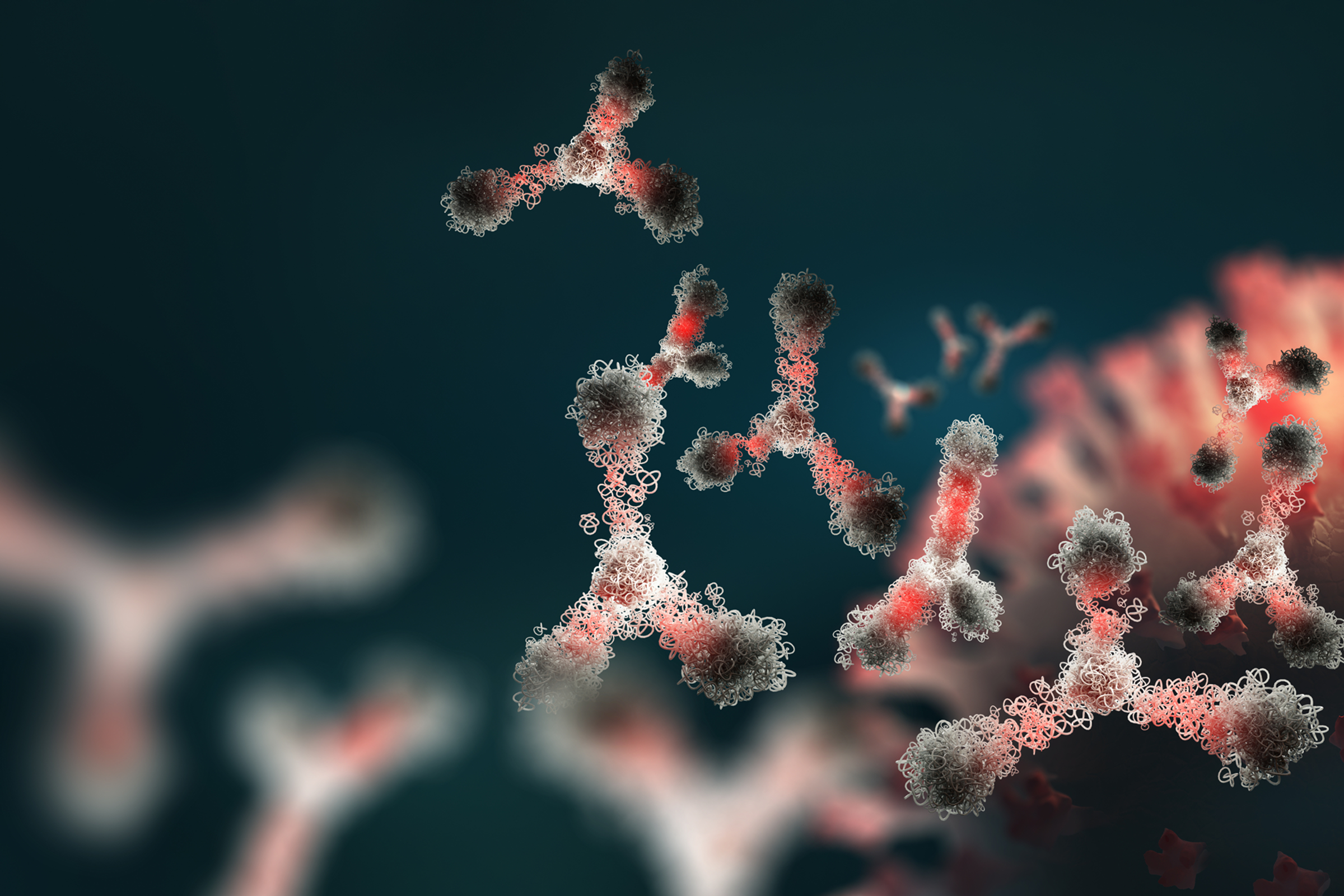 Illustration of antibodies representing autoimmune disease and NAD+ metabolism.