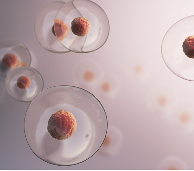 3D visualization of transparent cells with red nuclei representing NAD+ activity and cellular energy.