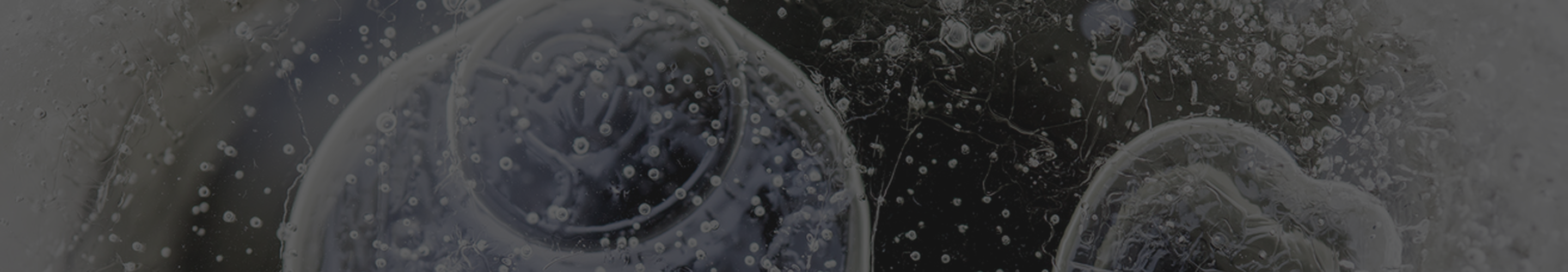 Microscopic cells visualized to represent NAD+ activity on the Frequently Asked Questions page.