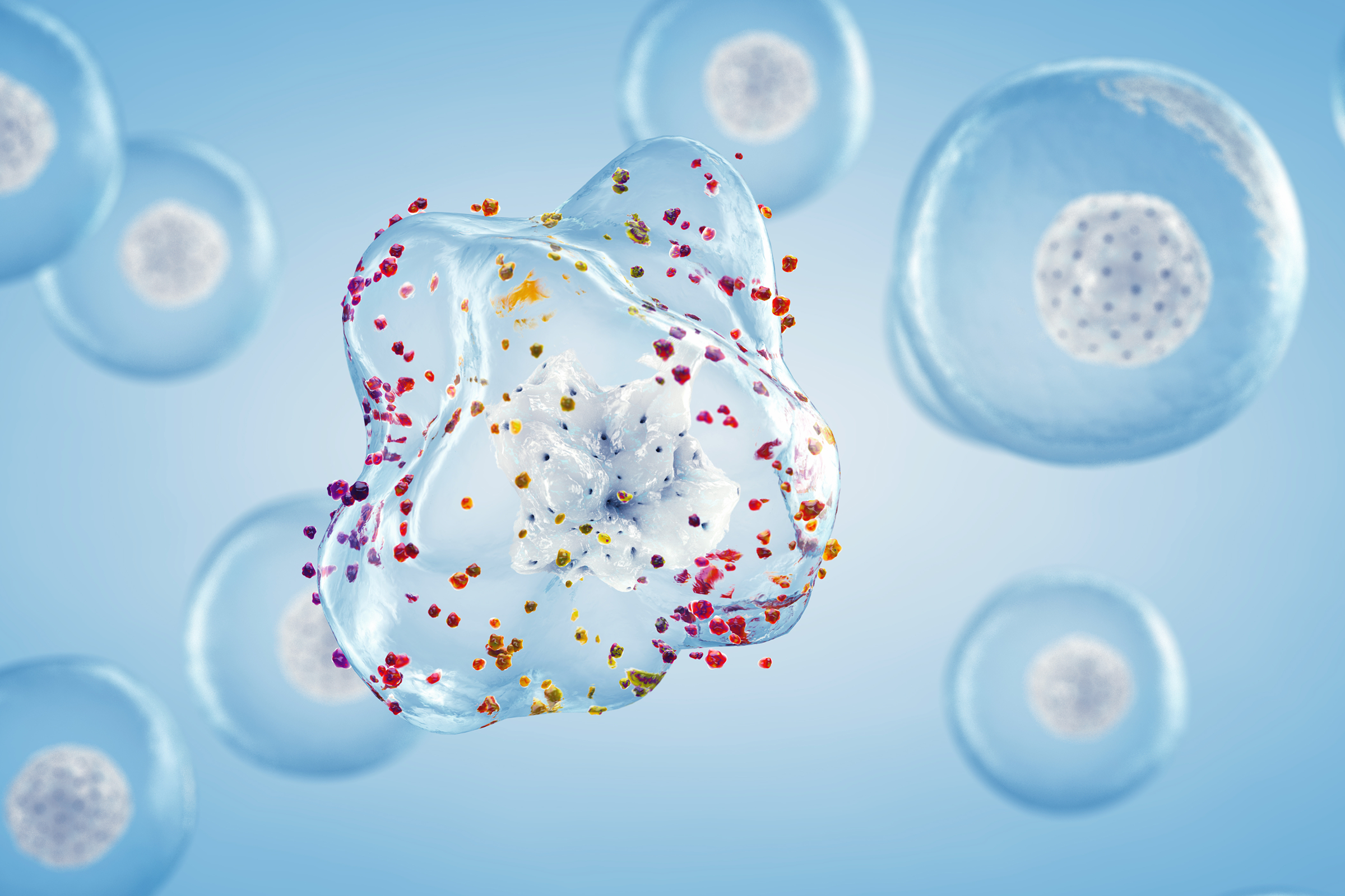 Illustration of normal and oxidative-stressed cells showing the connection between oxidative stress and NAD+.