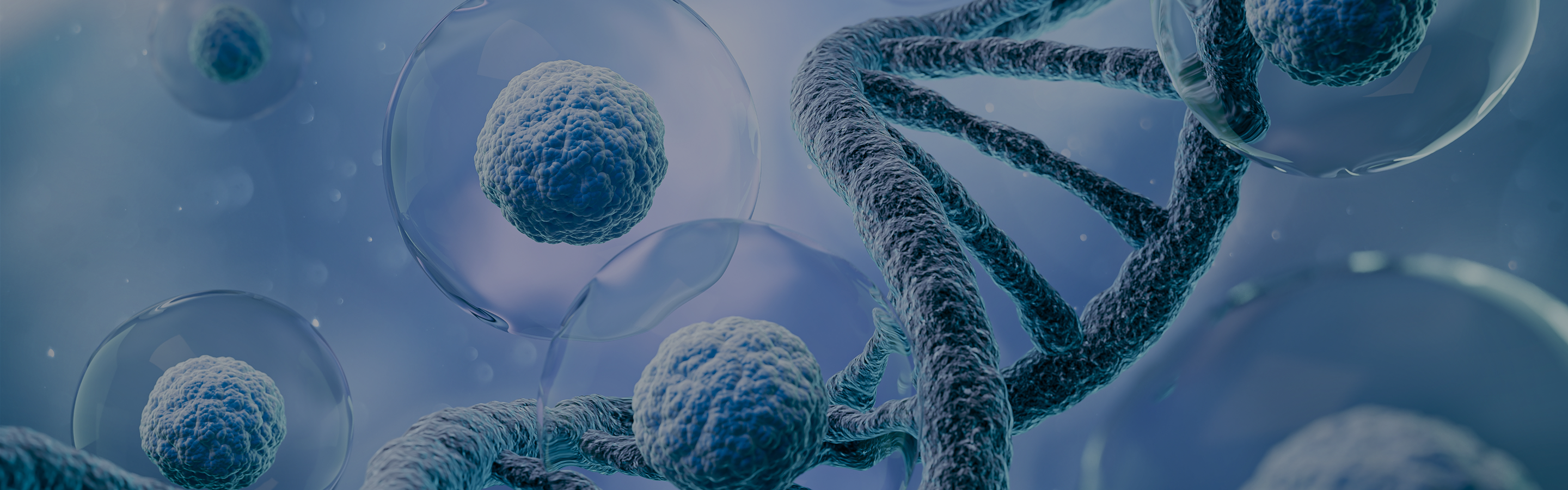 Illustration of DNA double helix and human cells representing NAD+ and DNA repair in orphan disease.