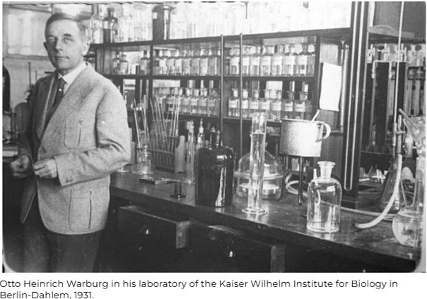 Otto Heinrich Warburg in his laboratory, demonstrating the role of NAD+ in fermentation reactions in 1936.