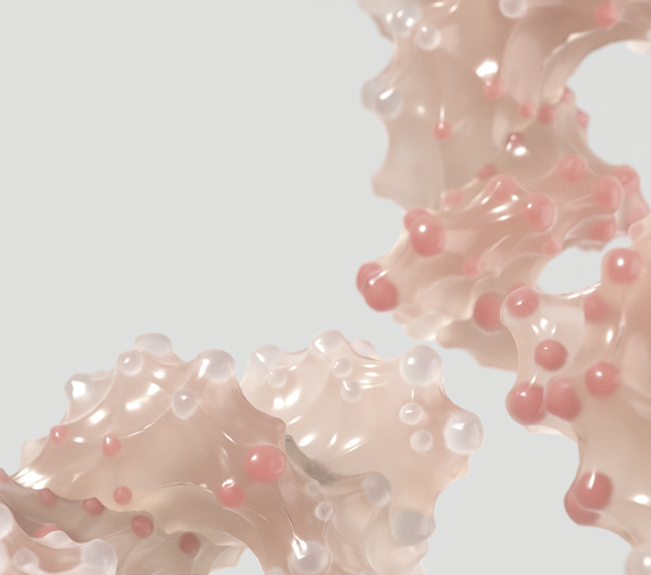 3D molecular visualization illustrating nicotinamide riboside (NR) and its role in supporting cellular NAD+ metabolism.